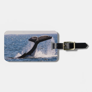 Étiquette À Bagage Étiquette de bagage de baleine de Humback - flet