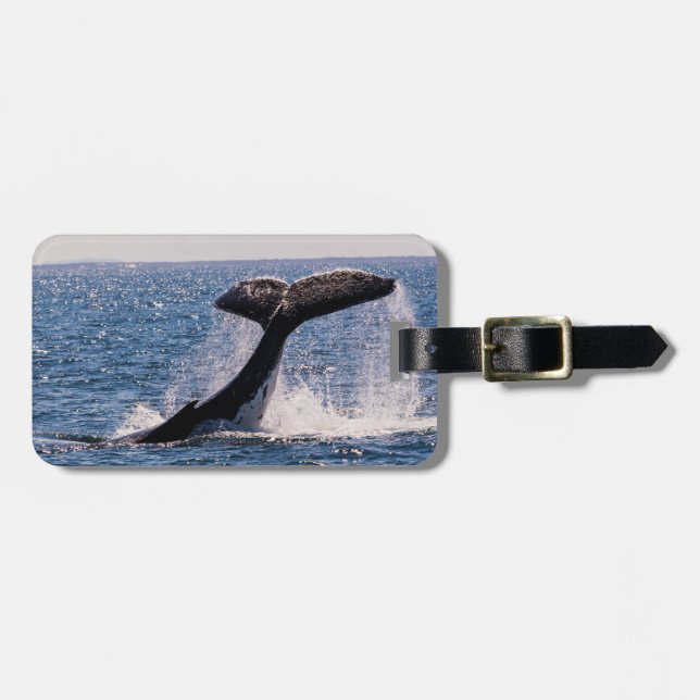 Étiquette À Bagage Étiquette de bagage de baleine de Humback - flet (Devant horizontal)