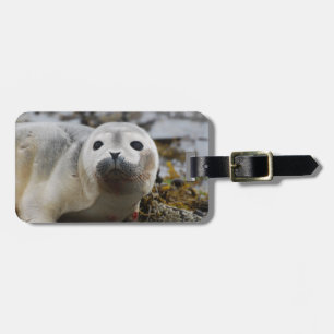 Étiquette À Bagage Étiquette de bagage de bébé phoque