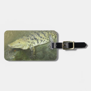 Étiquette À Bagage Étiquette de bagage de crocodile