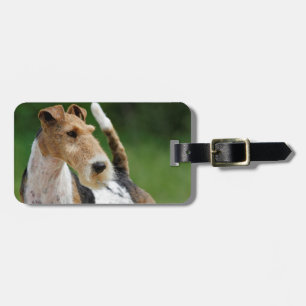 Étiquette À Bagage Étiquette de bagage de Fox Terrier de fil
