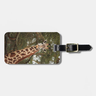 Étiquette À Bagage Étiquette de bagage de girafe