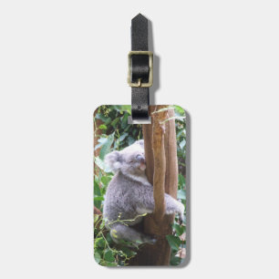 Étiquette À Bagage Étiquette de bagage de koala