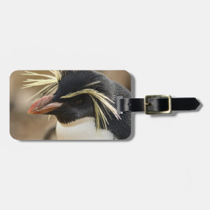 Étiquette À Bagage Étiquette de bagage de pingouin de Rockhopper