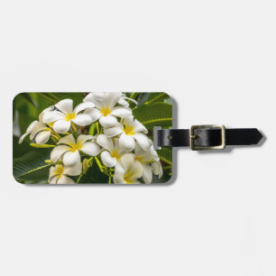 Étiquette À Bagage Étiquette de bagage de Plumeria de l'île exotique