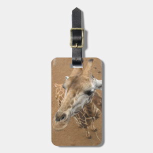 Étiquette À Bagage Étiquette de bagage de regard fixe de girafe