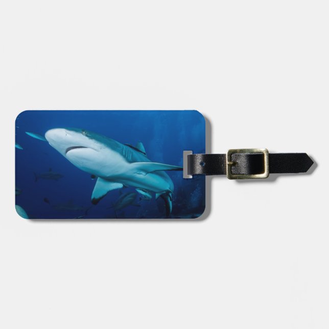Étiquette À Bagage Étiquette de bagage de requin de récif (Devant horizontal)