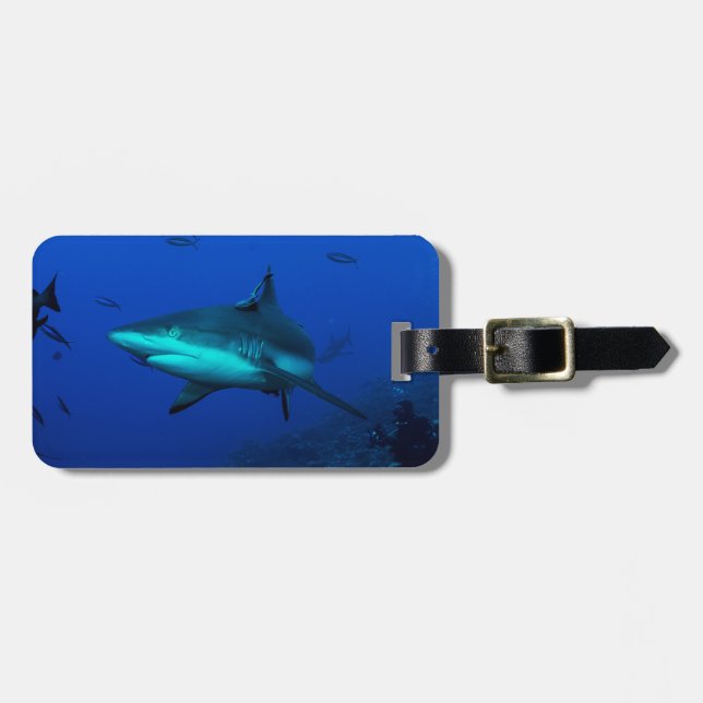 Étiquette À Bagage Étiquette de bagage de requin de récif (Devant horizontal)