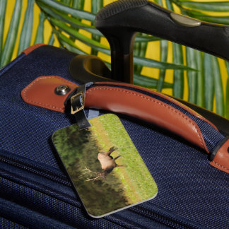 Étiquette À Bagage Étiquette de bagage d'élan