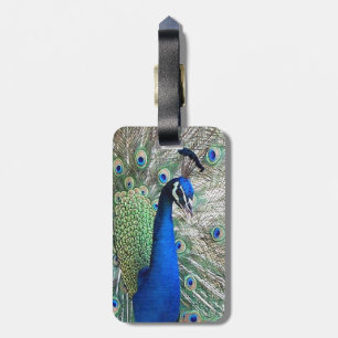 Étiquette À Bagage Étiquette de bagage d'oiseau de paon