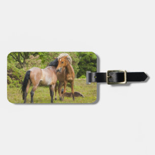 Étiquette À Bagage étiquette de bagage personnalisée du Cheval Lover