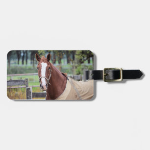 Étiquette À Bagage étiquette de bagage personnalisée du Cheval Lover