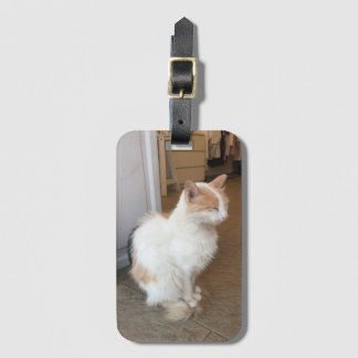 Étiquette À Bagage Étiquette de bagage pour chat