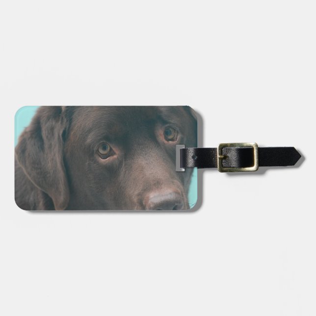 Étiquette À Bagage Étiquette de bagage pour chien labrador chocolat (Devant horizontal)