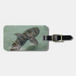 Étiquette À Bagage Étiquette de bagage requin tigre