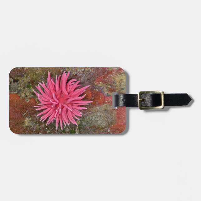 Étiquette À Bagage Étiquette rose de bagage de Hopkins Nudibranch (Devant horizontal)