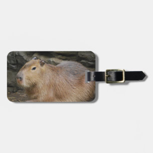Étiquette À Bagage Étiquette sauvage de bagage de Capybara