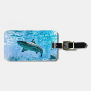 Étiquette À Bagage Étiquette vintage de bagage de requin