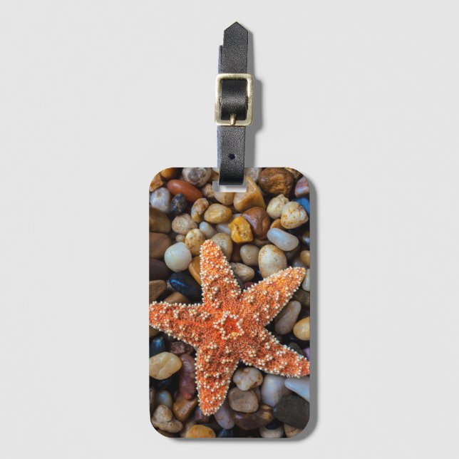 Étiquette À Bagage Étoiles de mer sur des roches (Devant Vertical)