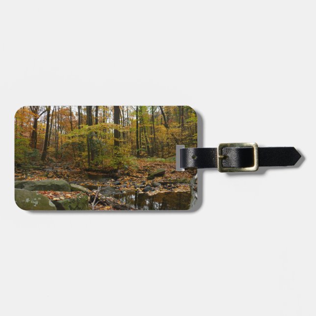 Étiquette À Bagage Fall Creek avec réflexion à Laurel Hill Park (Devant horizontal)
