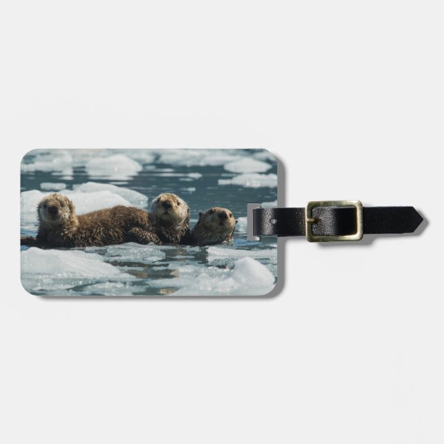 Étiquette À Bagage Famille de loutre de mer (Devant horizontal)