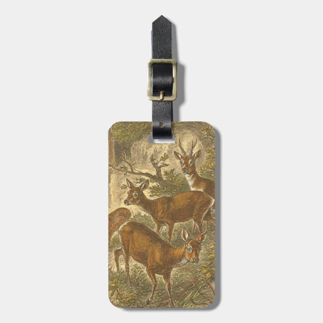 Étiquette À Bagage Famille de Roe - Cerfs dans une forêt (Devant Vertical)