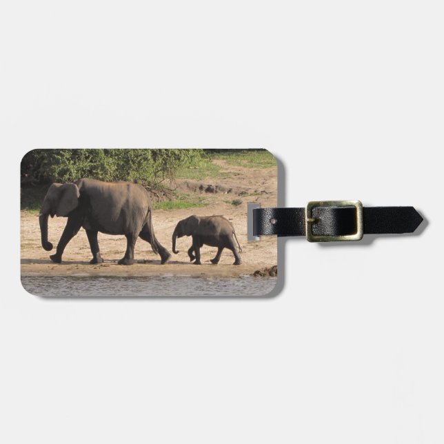 Étiquette À Bagage Famille d'éléphant (Devant horizontal)