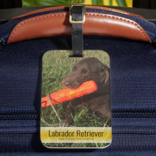 Étiquette À Bagage Famille d'images remplaçables ou photo d'animal de