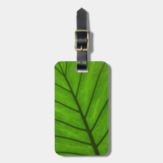 Étiquette À Bagage Feuille