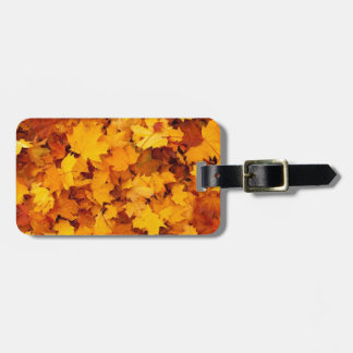 Étiquette À Bagage Feuilles de érable jaune d'automne