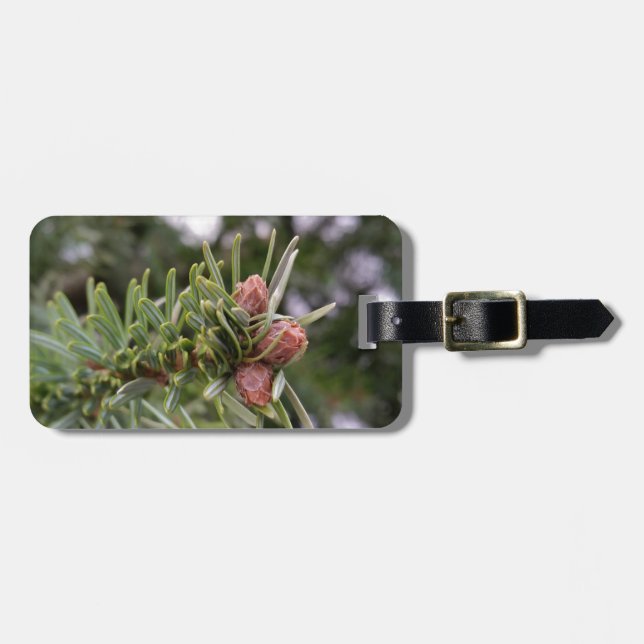 Étiquette À Bagage Fir buds (Devant horizontal)