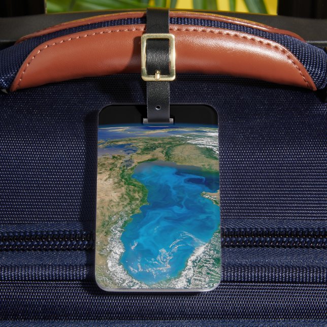 Étiquette À Bagage Floraison De Phytoplancton Bleu En Mer Noire (Insitu Rectoal 2)