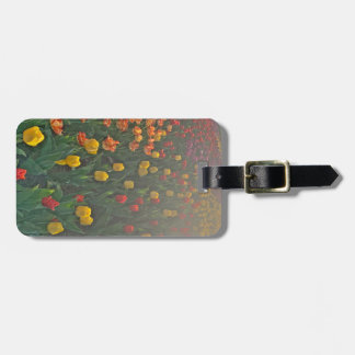 Étiquette À Bagage Floral Tulip Luggage Tag