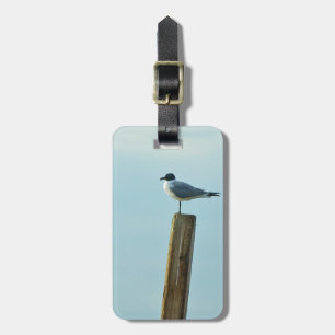 Étiquette À Bagage Florida Laughing Gull Easy ID Personnel