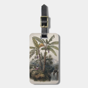 Étiquette À Bagage Forêt de bananiers tropicaux antiques   Bota vinta