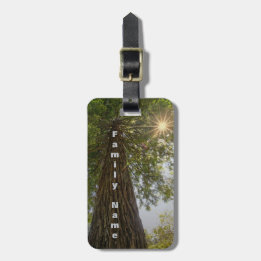Étiquette À Bagage Forêt paisible avec photo à la lumière dorée