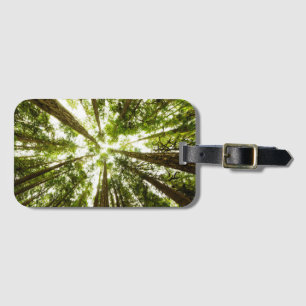 Étiquette À Bagage Forêt tropicale verte luxuriante