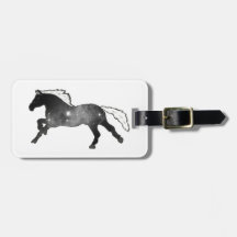 Galaxie noire et blanche de nébuleuse de cheval