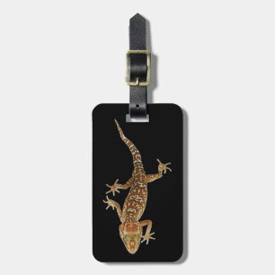 Étiquette À Bagage Gecko moulu du Madagascar (pictus de Paroedura)
