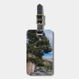 Étiquette À Bagage Genévrier de la Sierra et arbres à feuilles persis