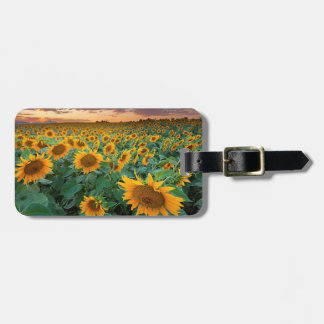 Étiquette À Bagage Gisement de tournesol dans Longmont, le Colorado