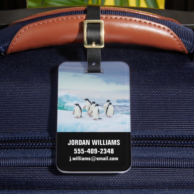 Étiquette À Bagage Glace et neige | Adelie Penguins Antarctique (Insitu Rectoal 2)