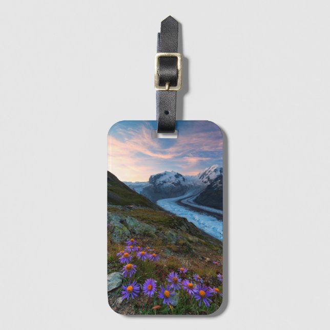 Étiquette À Bagage Glacier | Suisse de Monte Rosa (Devant Vertical)