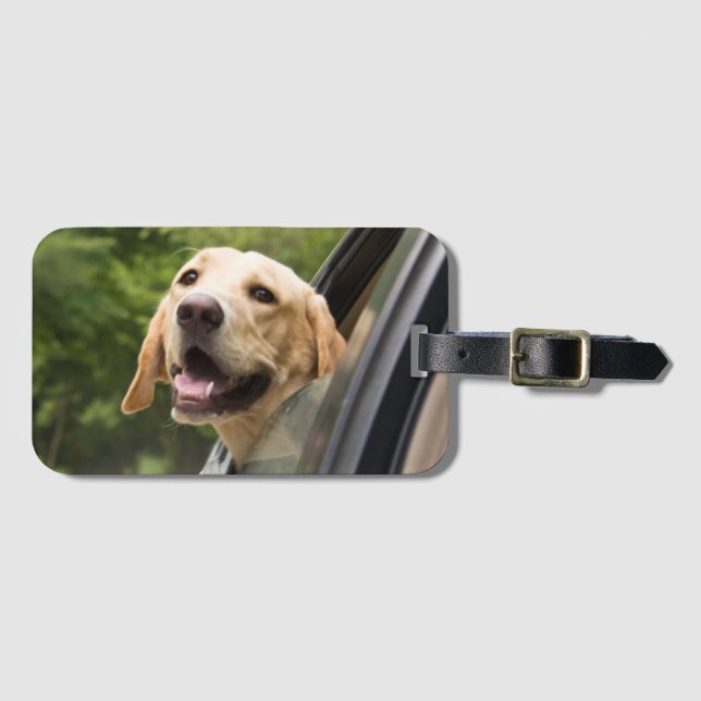Étiquette À Bagage Golden Labrador In Rearview Mirror (Devant Horizontal)