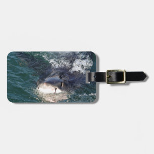Étiquette À Bagage Grand espion de requin blanc sautant