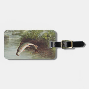 Étiquette À Bagage Gravure ancienne de pêche à la mouche : Truite de