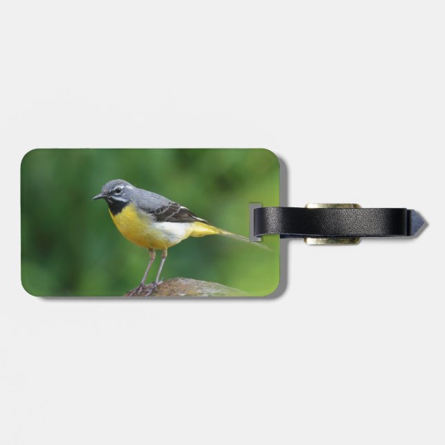 Étiquette À Bagage Gray Wagtail - oiseau (Dos horizontal)