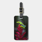 Grenouille aux yeux rouges