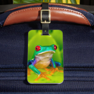 Étiquette À Bagage Grenouille aux yeux rouges, Costa Rica