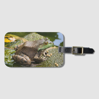 Étiquette À Bagage Grenouille - Vieux Coasseur